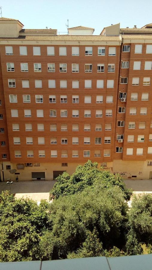 Apartmán Piso Acogedor Y Alegre En Castellon Castellón de la Plana Exteriér fotografie